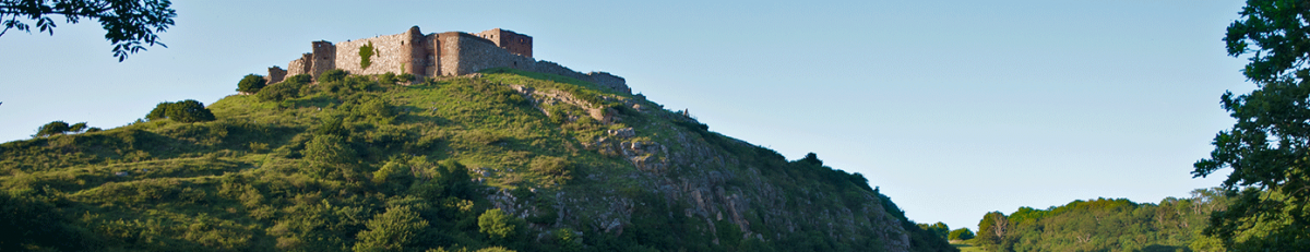 bornholm banner