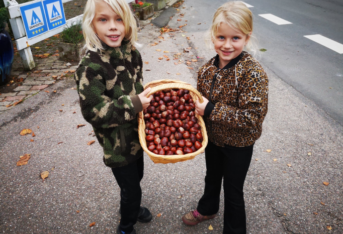 Efterårstilbud sønderborg